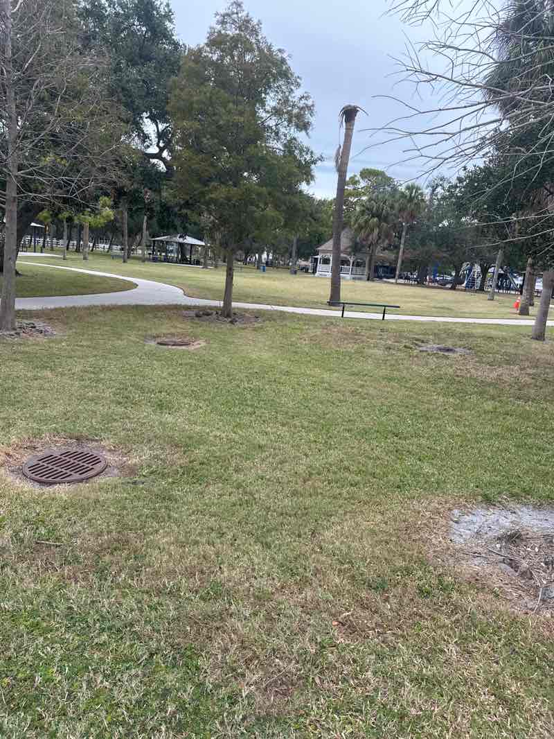 walking near me in Ballast Point Park in autumn