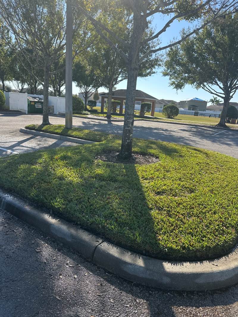 walking near me in Ayersworth Park in autumn