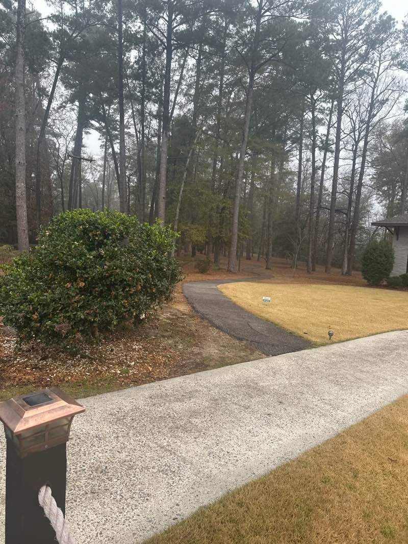 walking near me in Gregg Park in winter