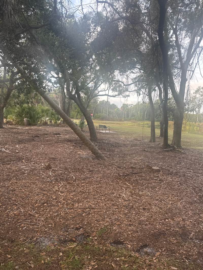 walking near me in MacDill 48 in winter