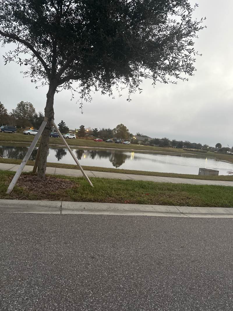 walking near me in Lantern View Park in winter