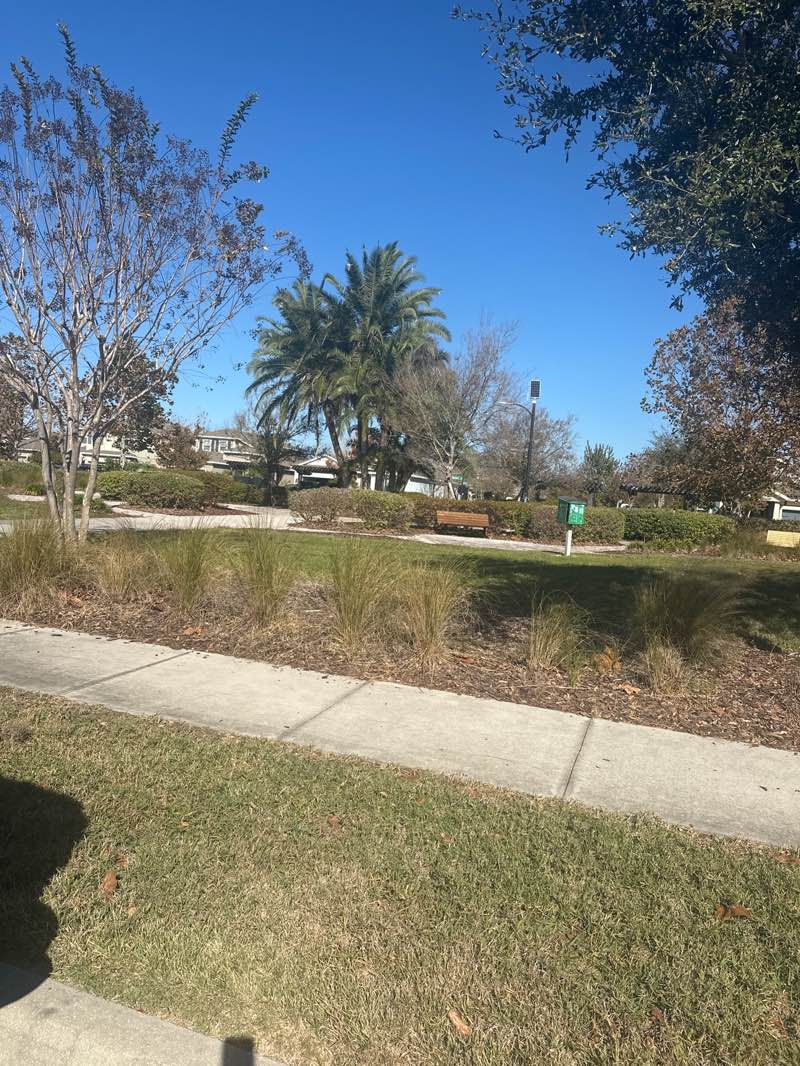 walking near me in Lantern View Park in winter