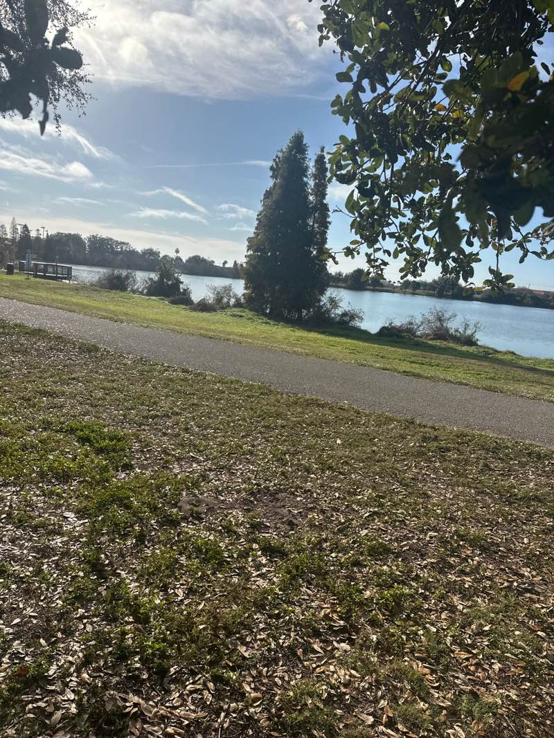 walking near me in Gadsden Park in winter