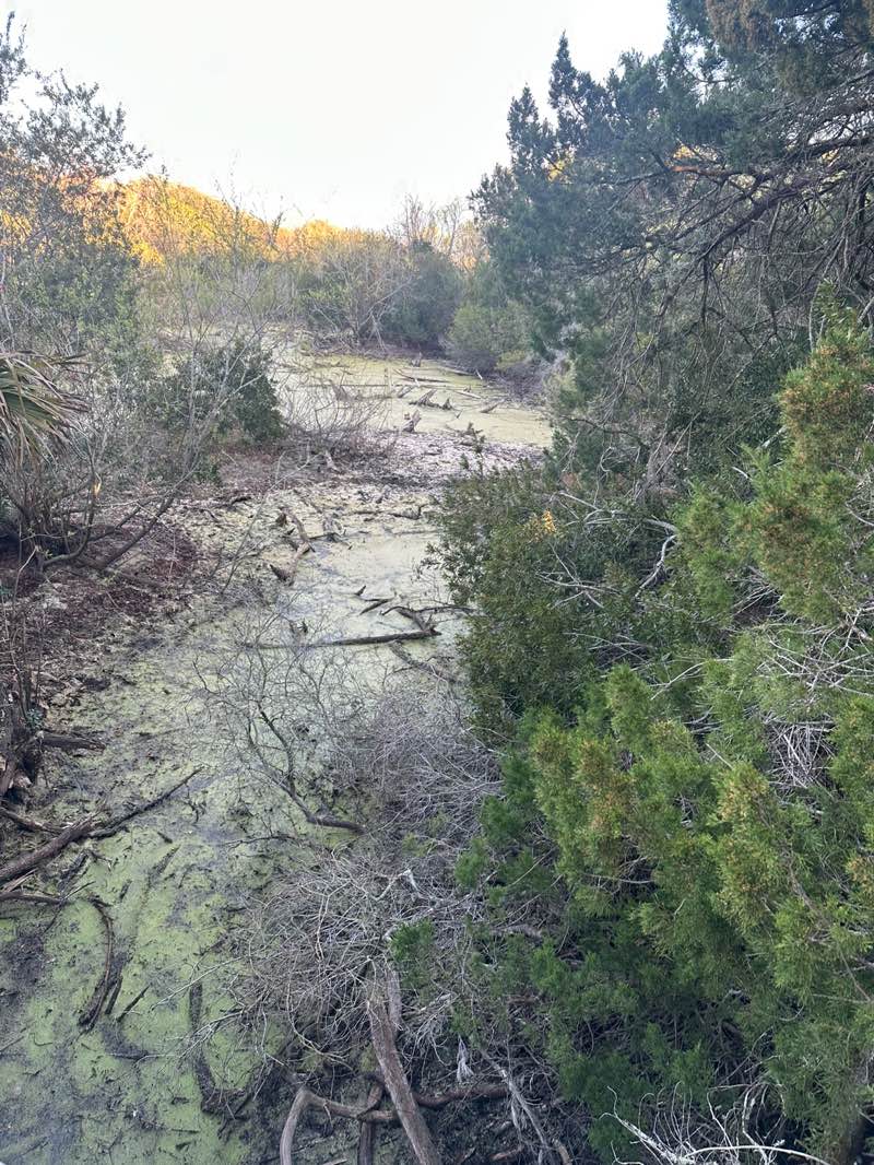 walking near me in Ocean Hammock Park in winter