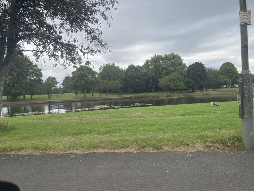 walking near me in Knightswood Park in summer