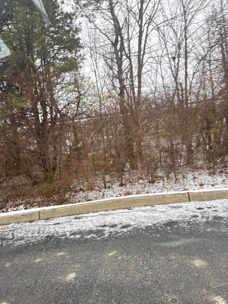 walking near me in 96th Street Monon Trailhead South in autumn