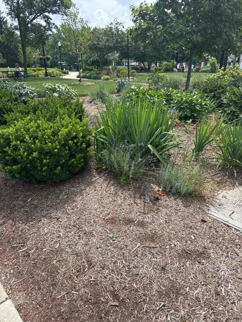 walking near me in Seminary Park in summer