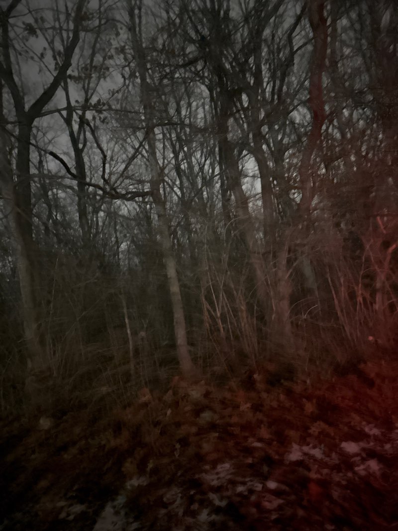 walking near me in William S. Sahm Park in winter