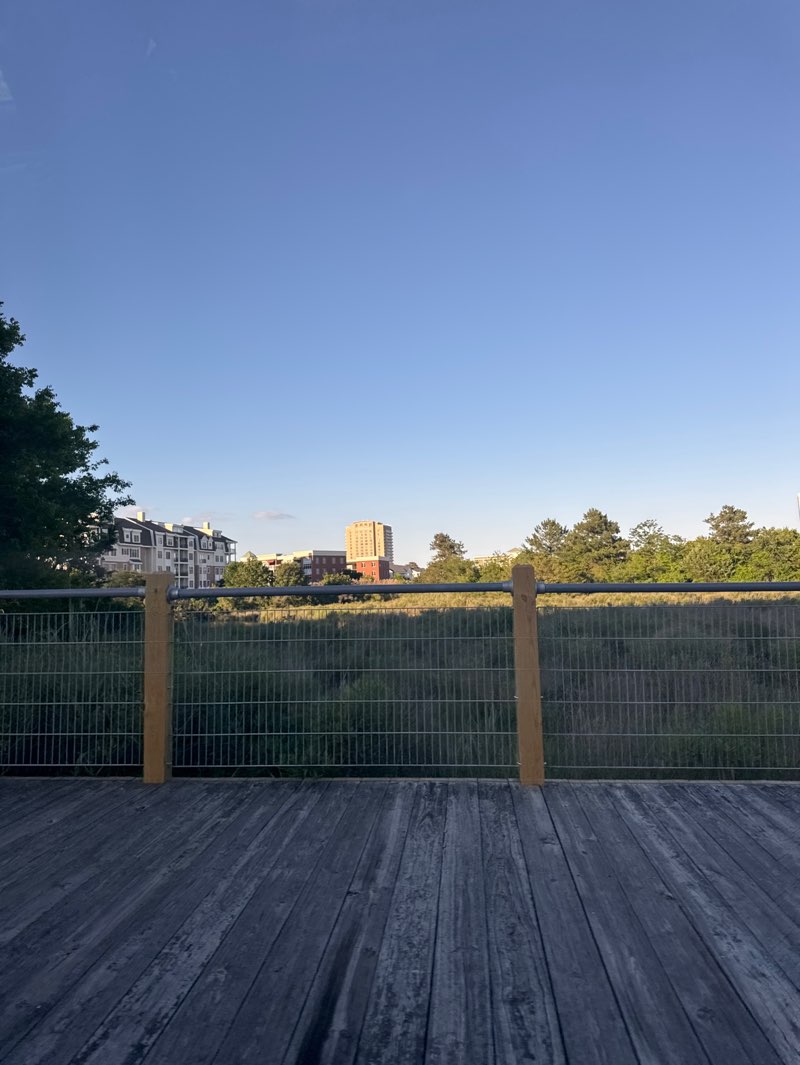walking near me in Beach Garden Park in summer