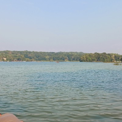 redvette post 1
