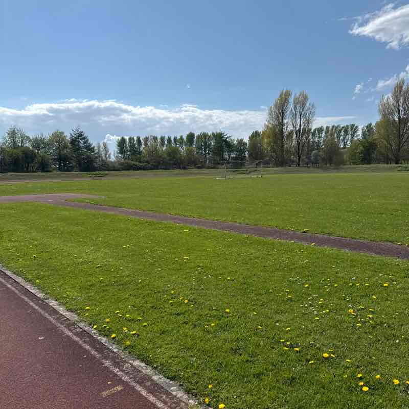 stevenmurray24 post 1