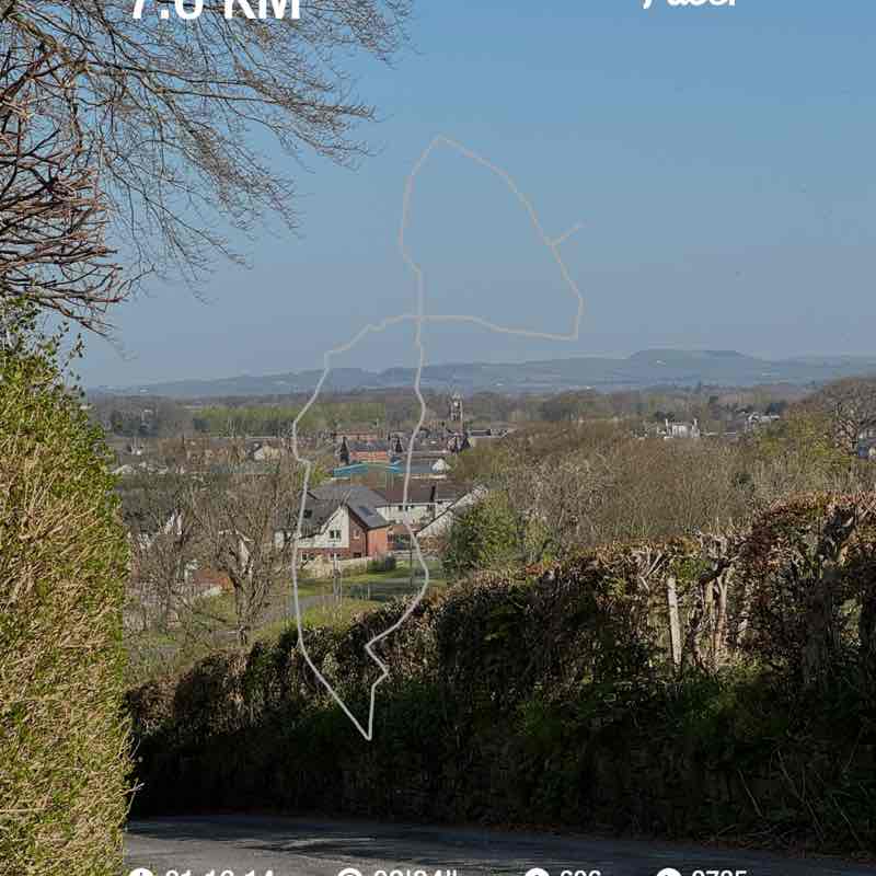 stevenmurray24 post 1