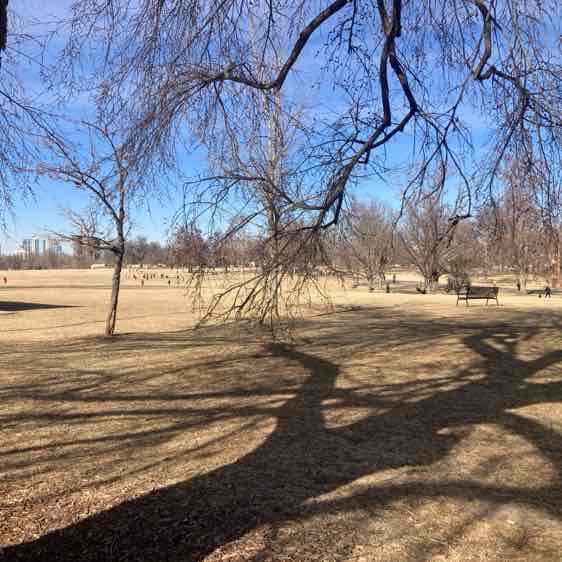 grumpycatforlife post 3