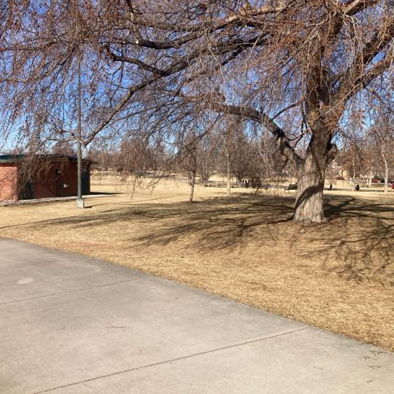 grumpycatforlife post 2