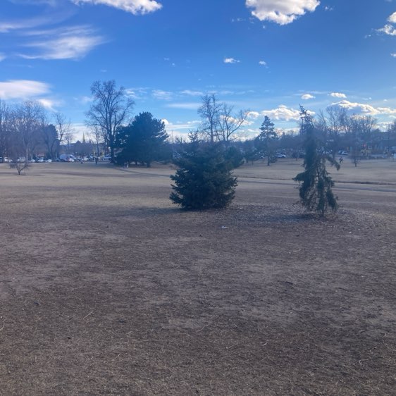 grumpycatforlife post 3