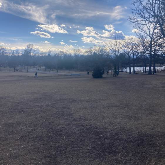 grumpycatforlife post 1