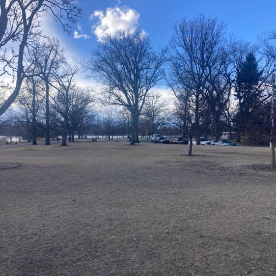 grumpycatforlife post 2