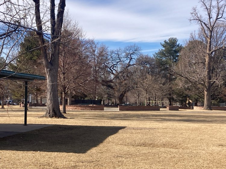 walking near me in Washington Park in winter