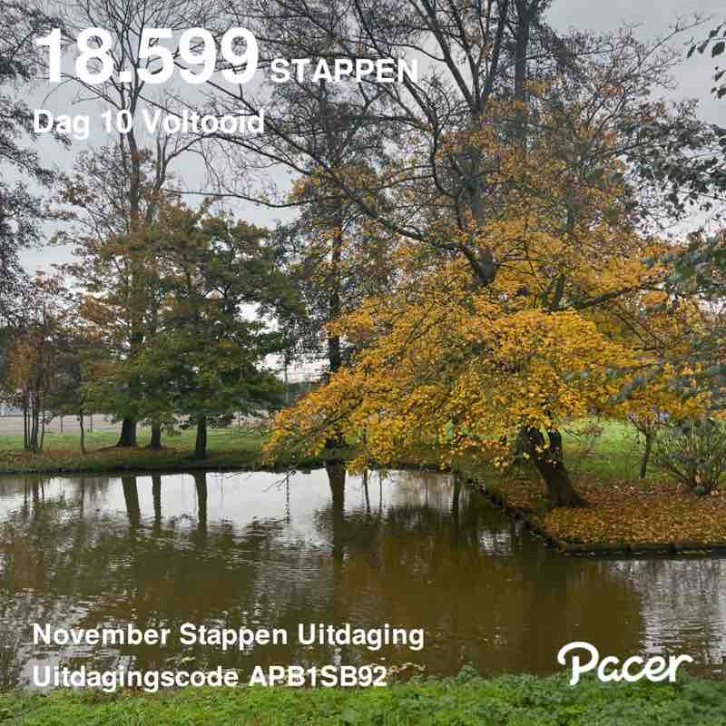 Sanur Jalan Renรฉ post image