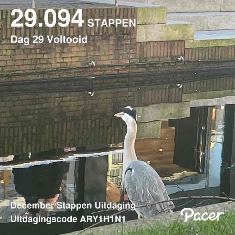 Sanur Jalan René post image