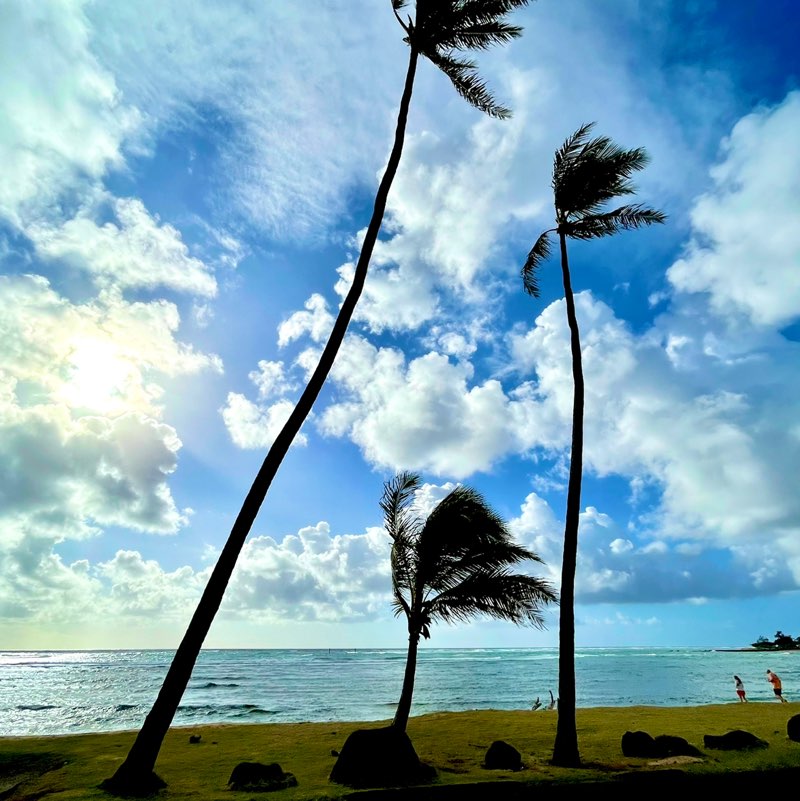 KauaiVibes