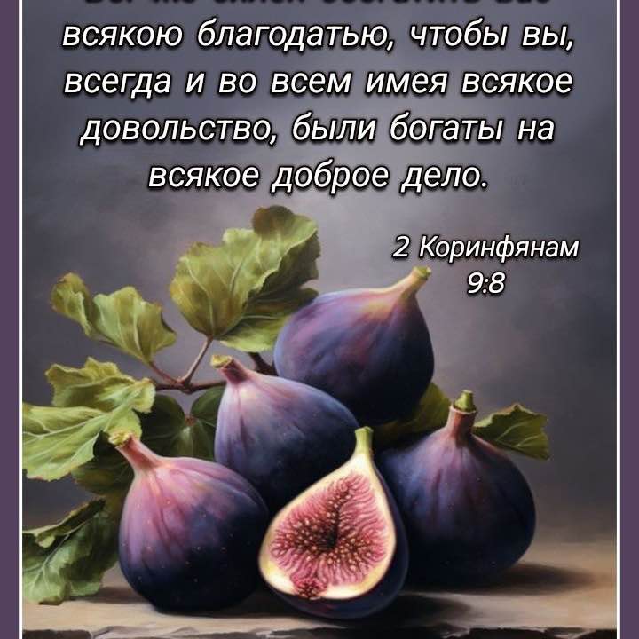 Tashkent walkers🚶🏻‍♂️ Margaret 👟🌐 post image