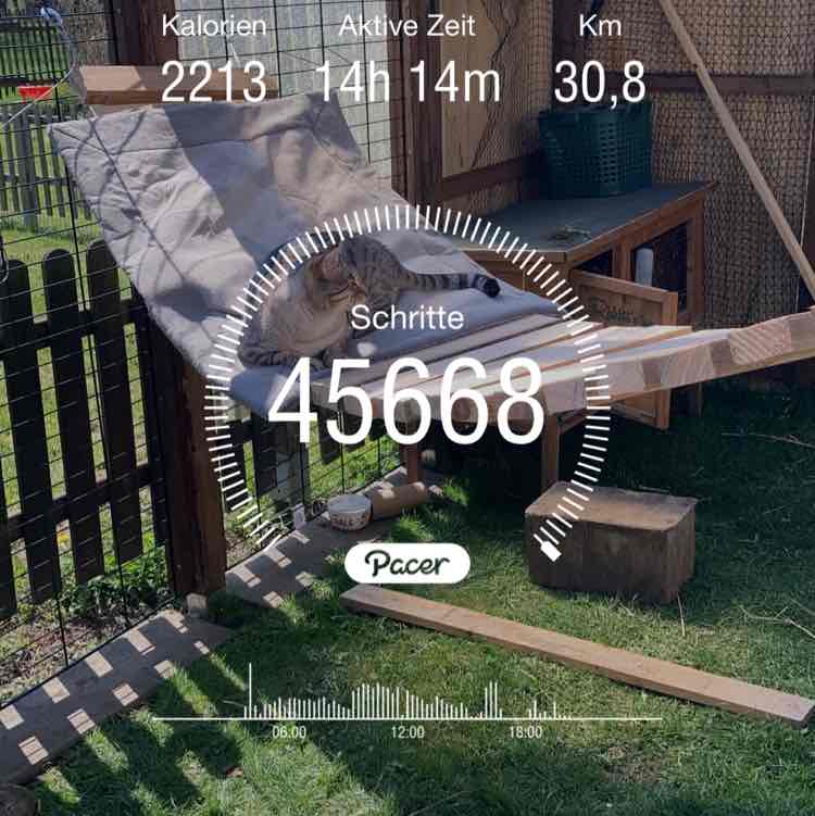 Lumpi‘s 🐶 Frauchen post 1