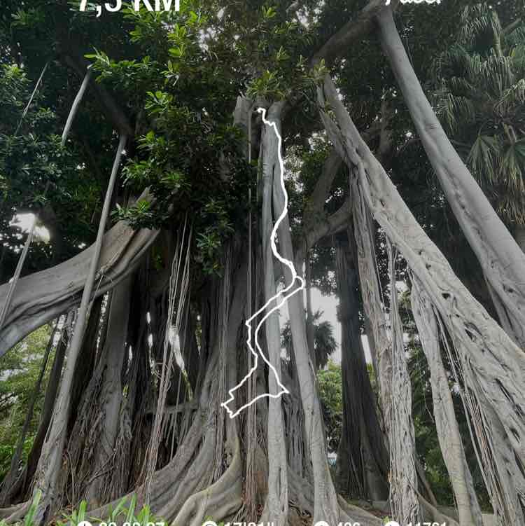 Lumpi‘s 🐶 Frauchen post 1