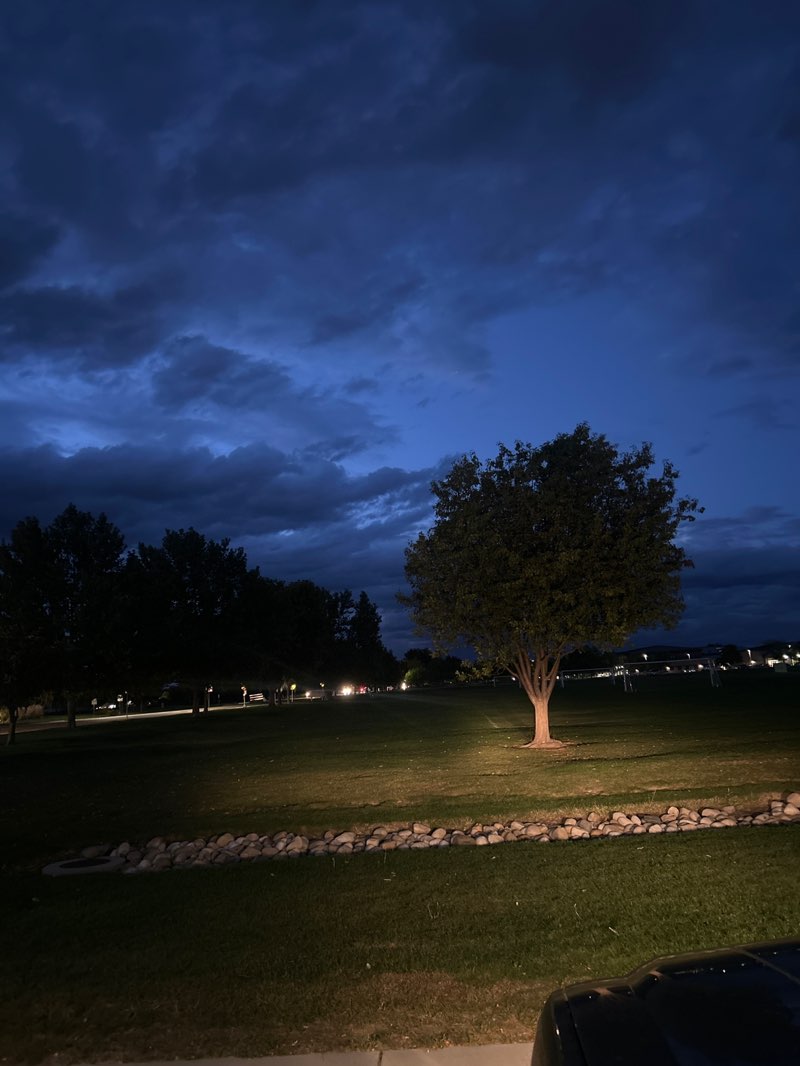 walking near me in Brothers Athletic Park in autumn