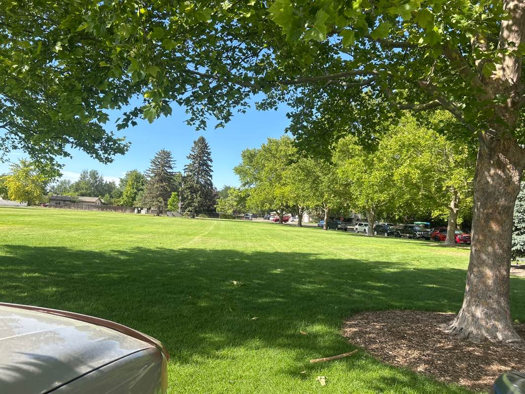 walking near me in West Park in autumn