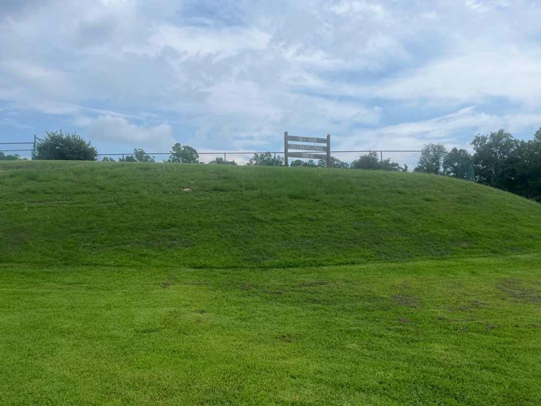 walking near me in Bel Air Area Park in autumn