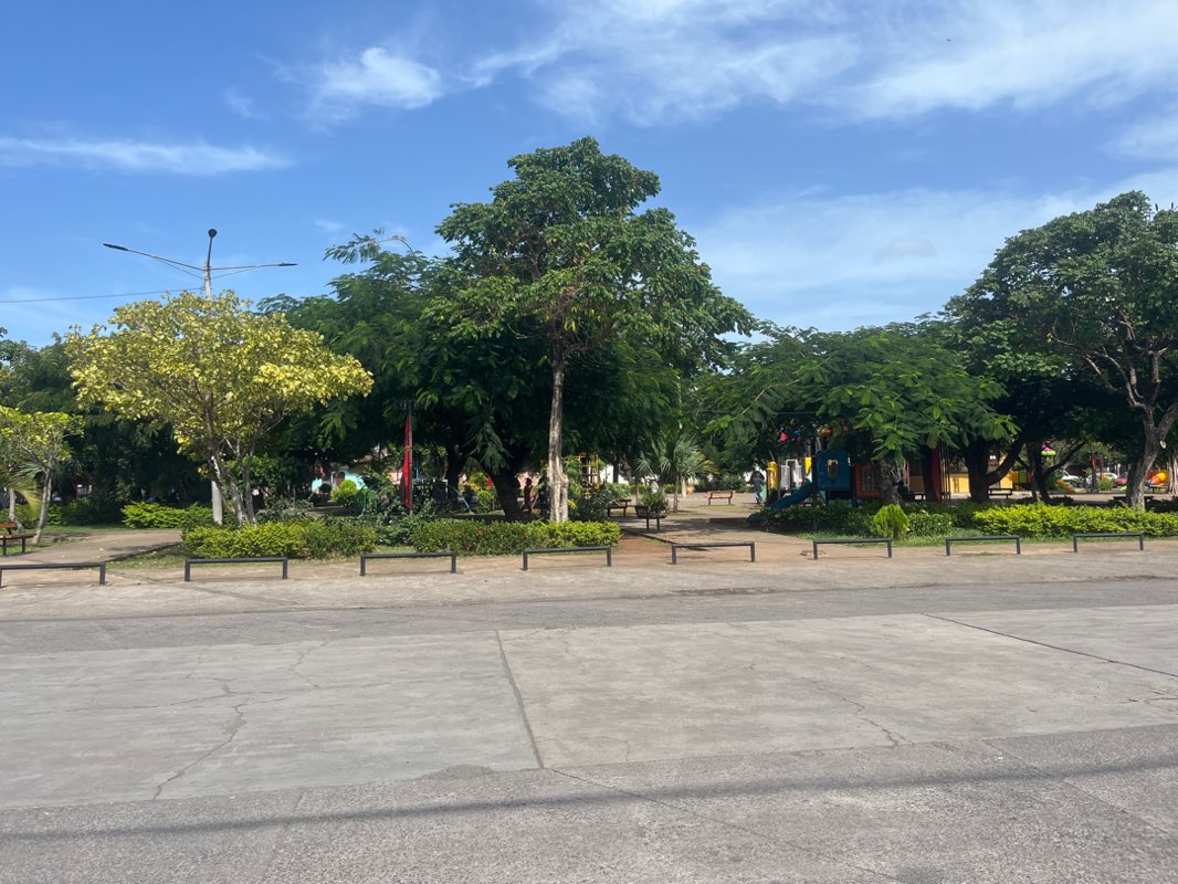 walking near me in Parque Sandino in autumn