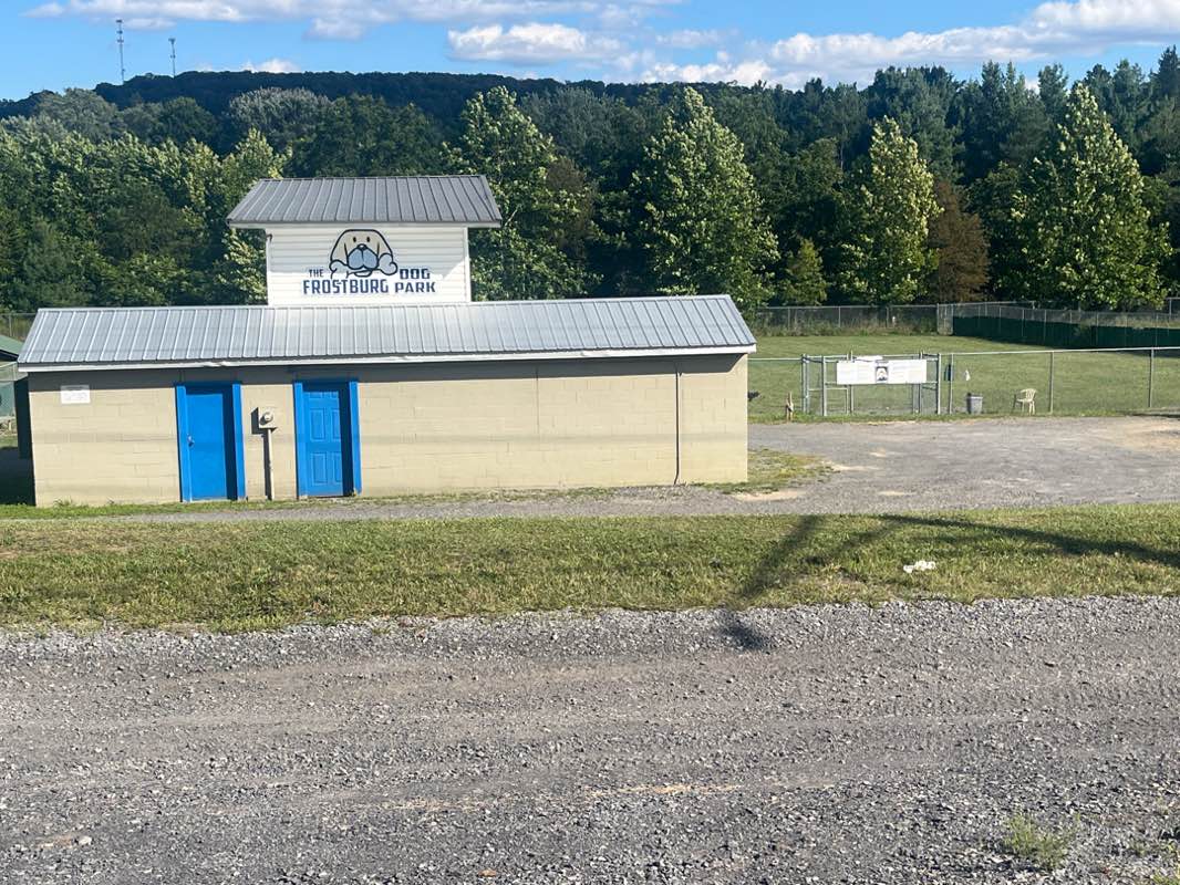 walking near me in Frostburg Dog Park in autumn