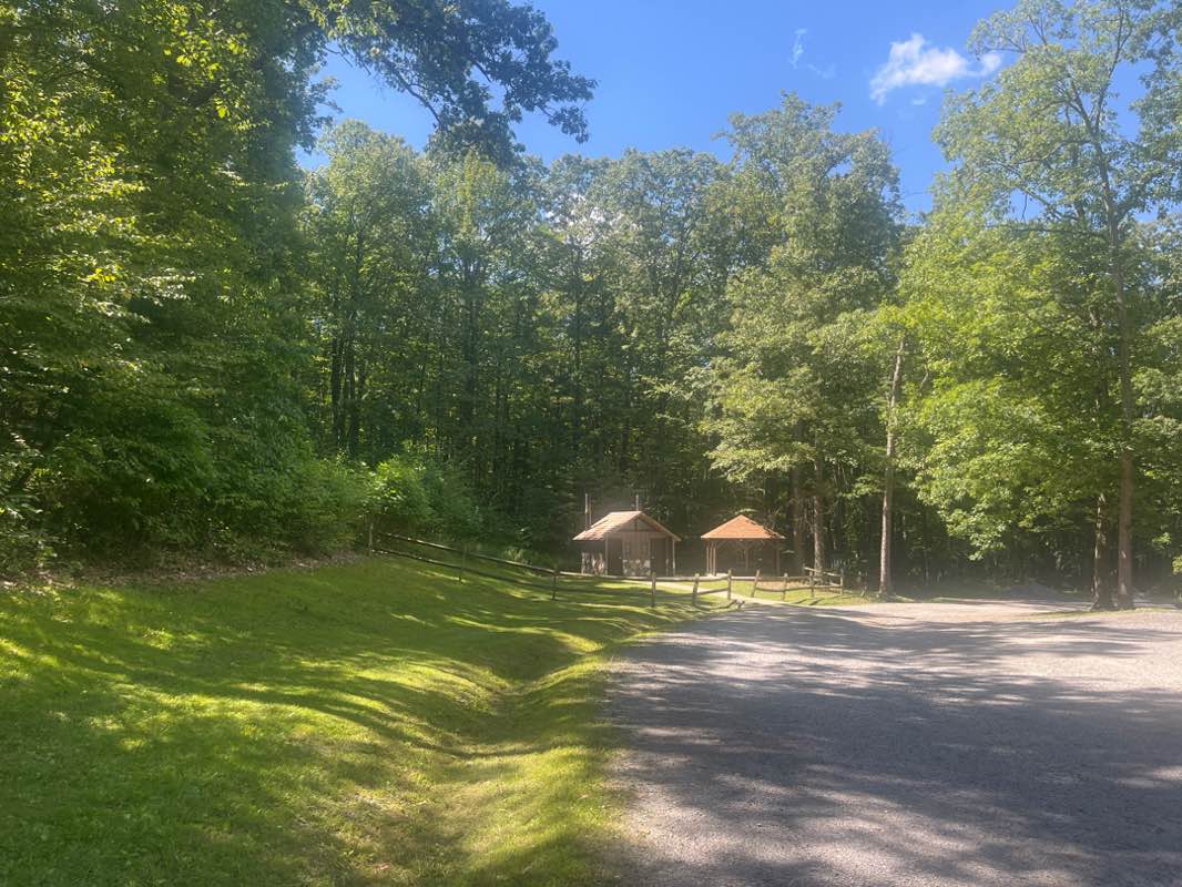 walking near me in Coopers Rock State Forest in autumn