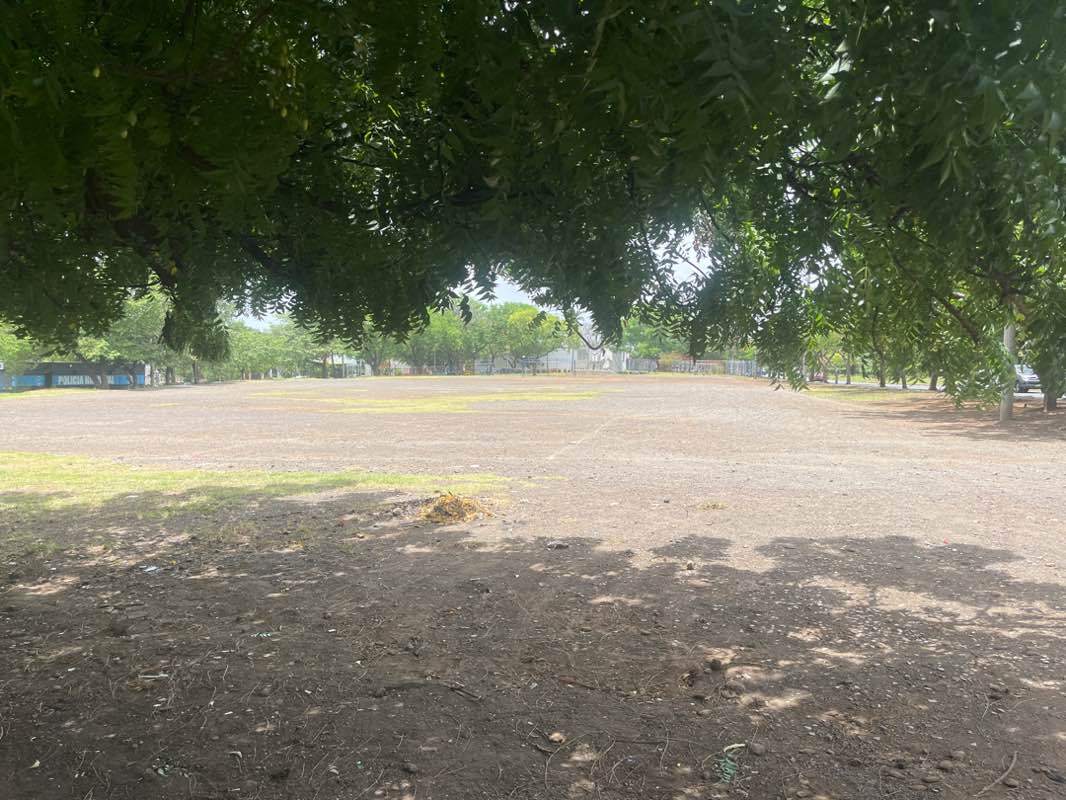 walking near me in Parque La Biblia in autumn