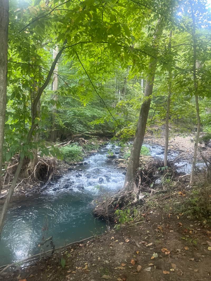 walking near me in Lavale District Park in autumn