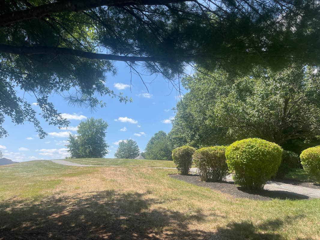 walking near me in Ashley Hills Park in autumn