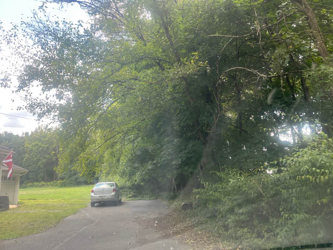 walking near me in Fireman Field in autumn