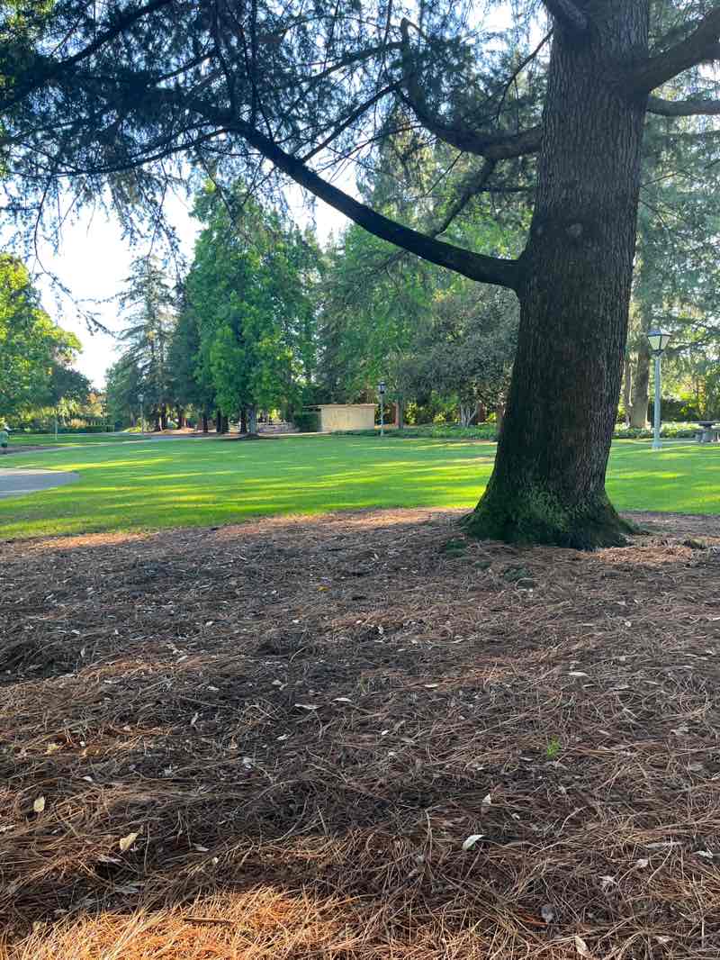 walking near me in Ortega Park in spring