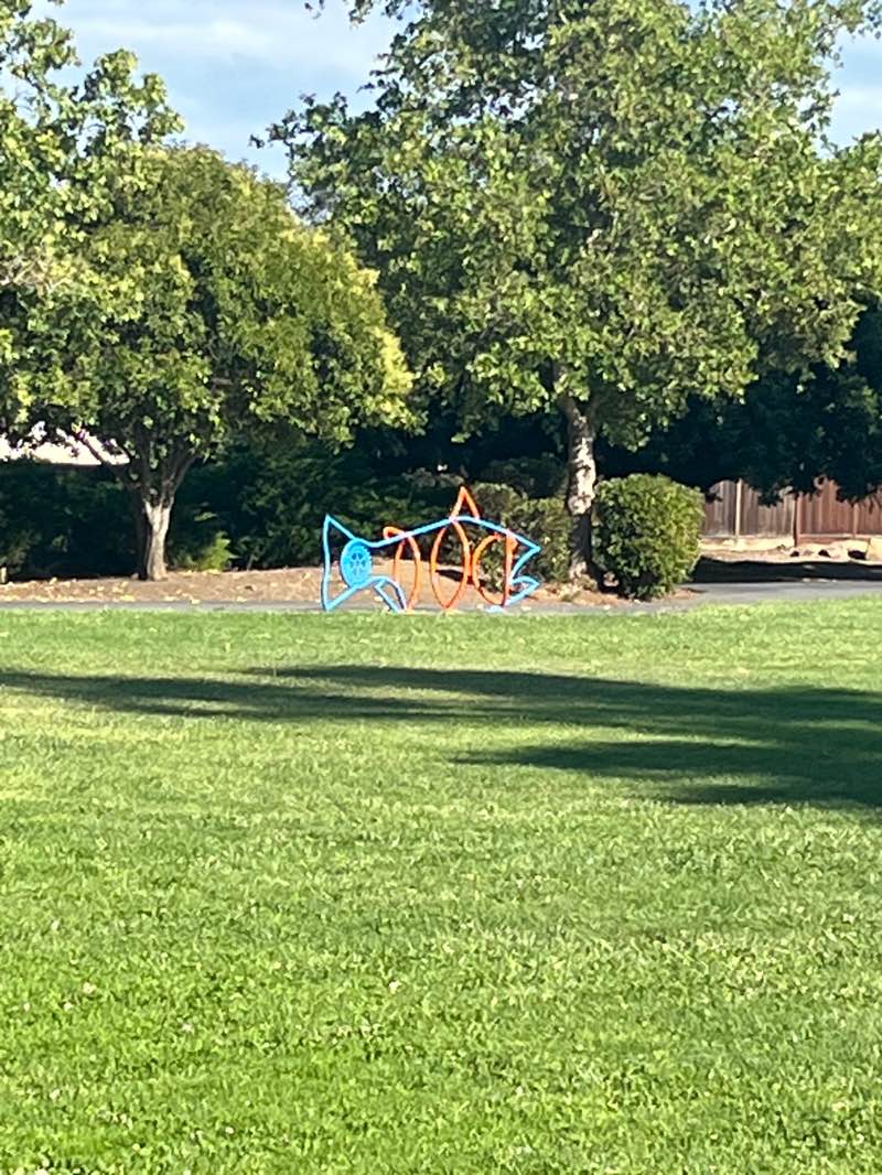 walking near me in Wilson Park in summer