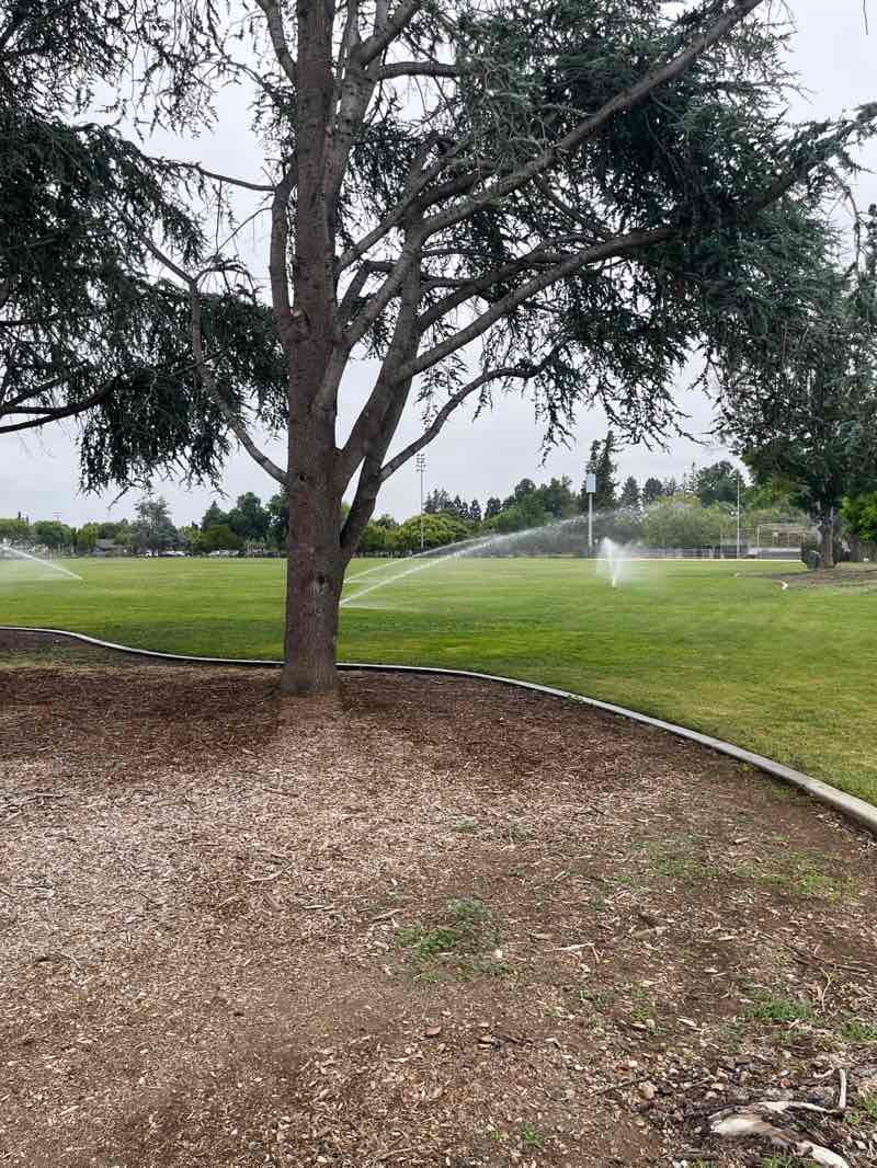 walking near me in Ortega Park in spring