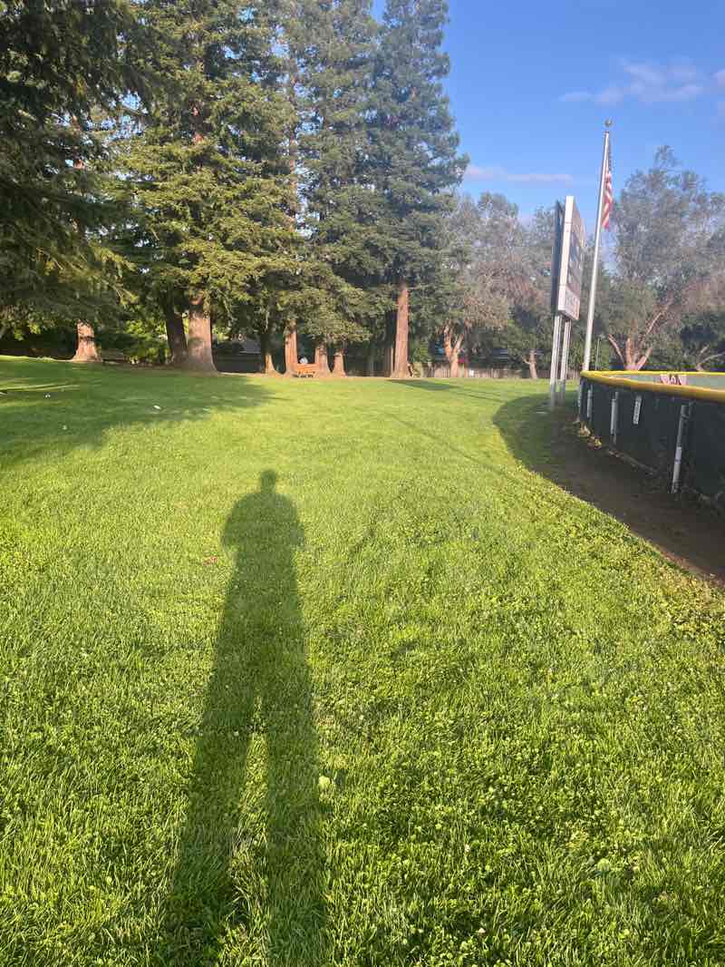 walking near me in Blossom Hill Park in summer