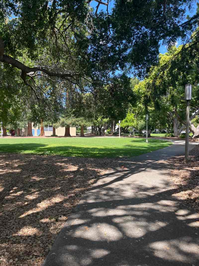 walking near me in Washington Park in summer