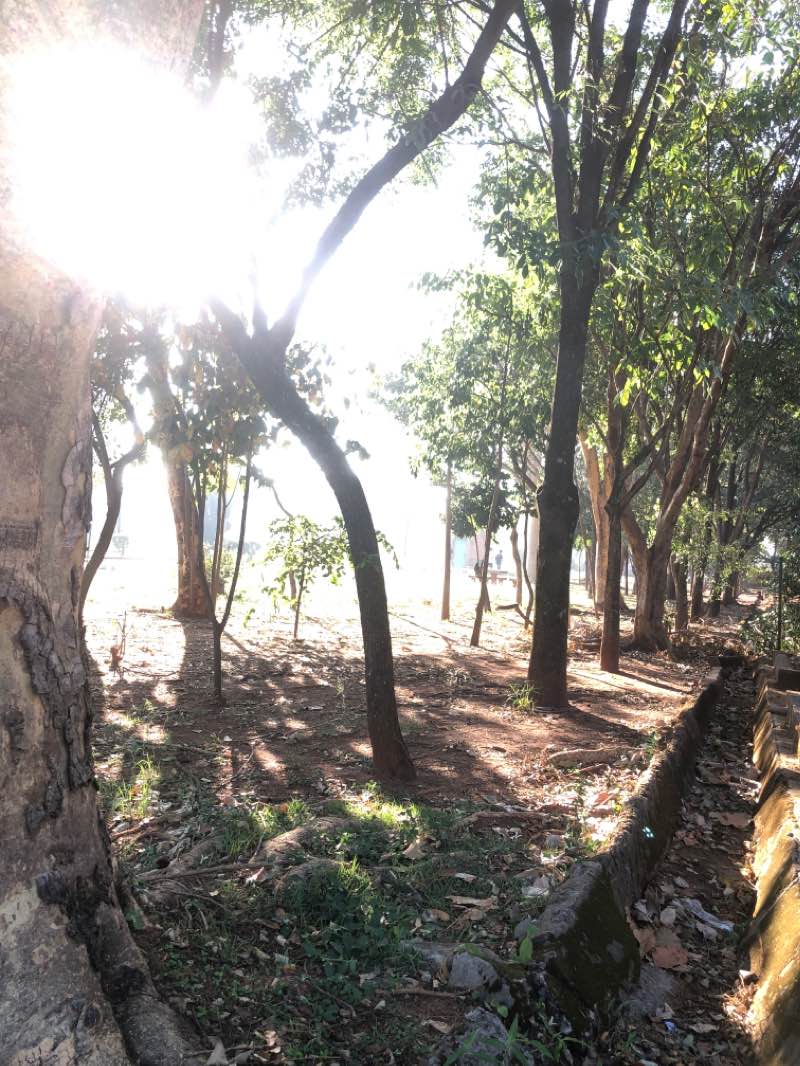 walking near me in Praça "Antonio Francisco Pizzinatto" in summer