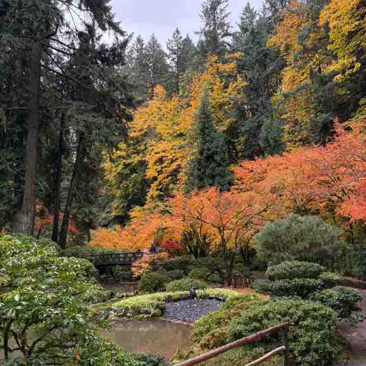 Friends of ๐ Lea ๐งธ Anne ๐ Big Cactus post image