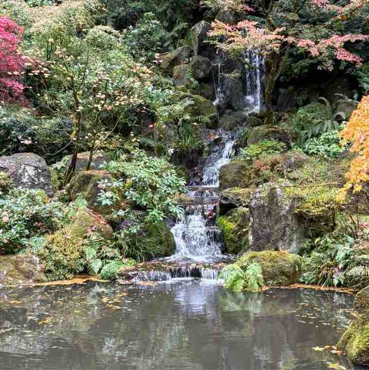 Friends of ๐ Lea ๐งธ Anne ๐ Big Cactus post image