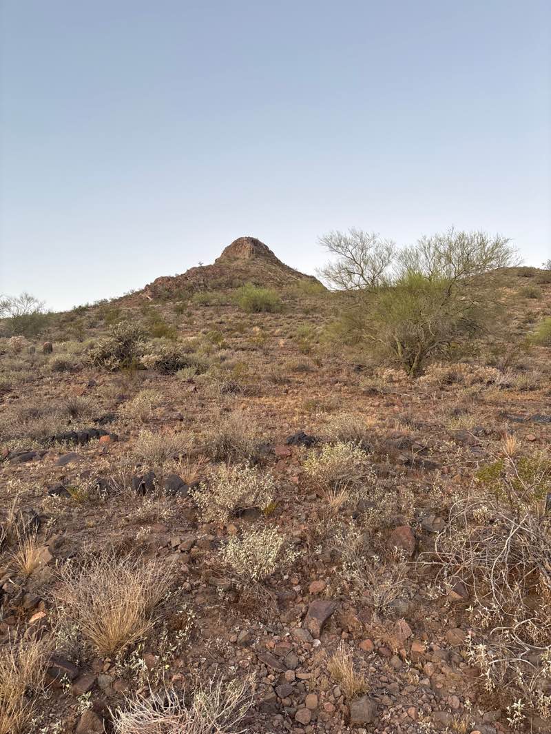 walking near me in Lookout Mountain Preserve in spring