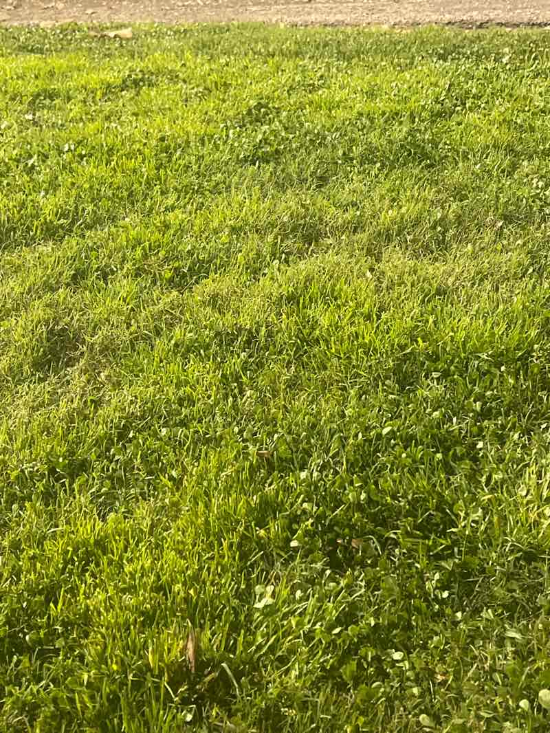 walking near me in Garden Grove Park in winter