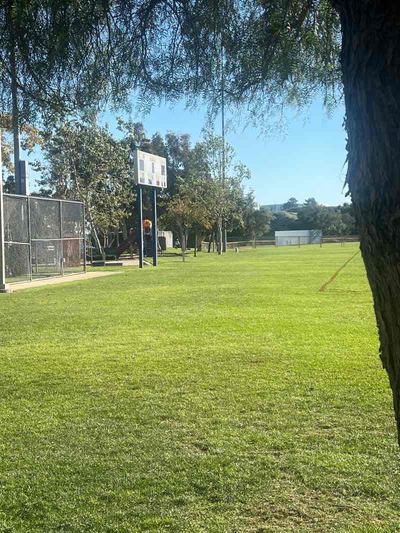 walking near me in Robert A Curtis Park in spring