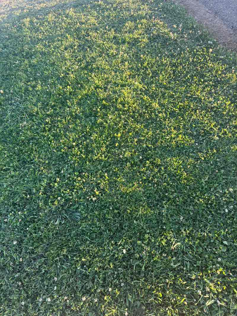 walking near me in Garden Grove Park in spring